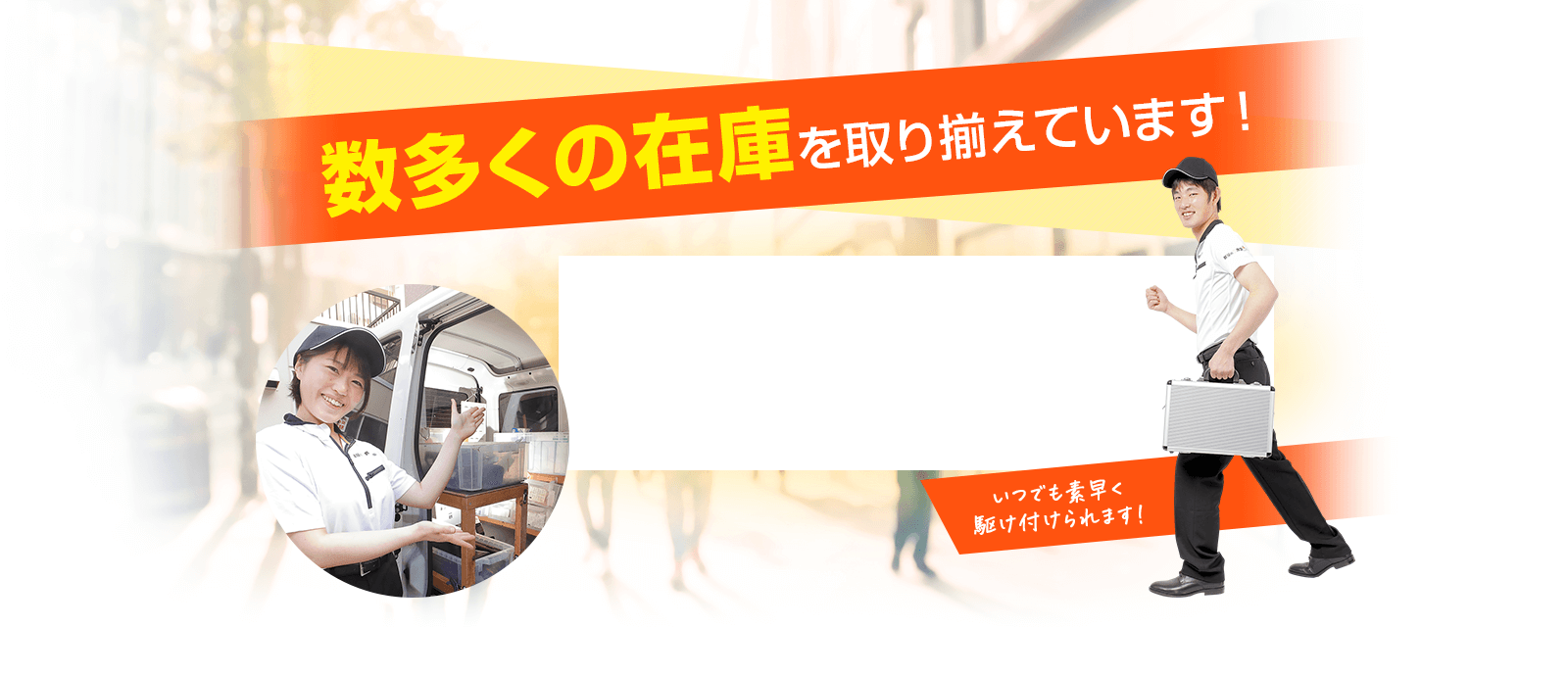 数多くの在庫を取り揃えています！